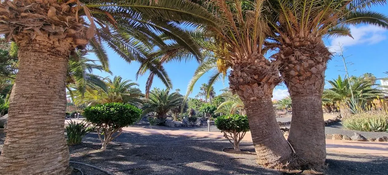 Appartement Oasis Royal 3 Piscinas à Corralejo 0*,